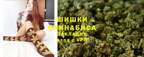 шишки Волоколамск