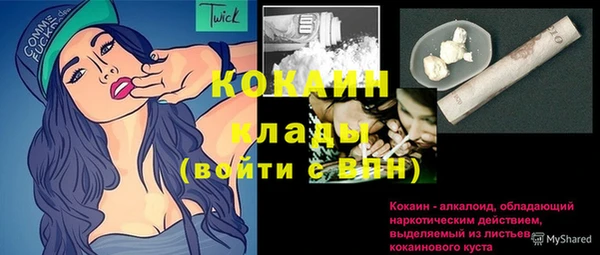 шишки Волоколамск